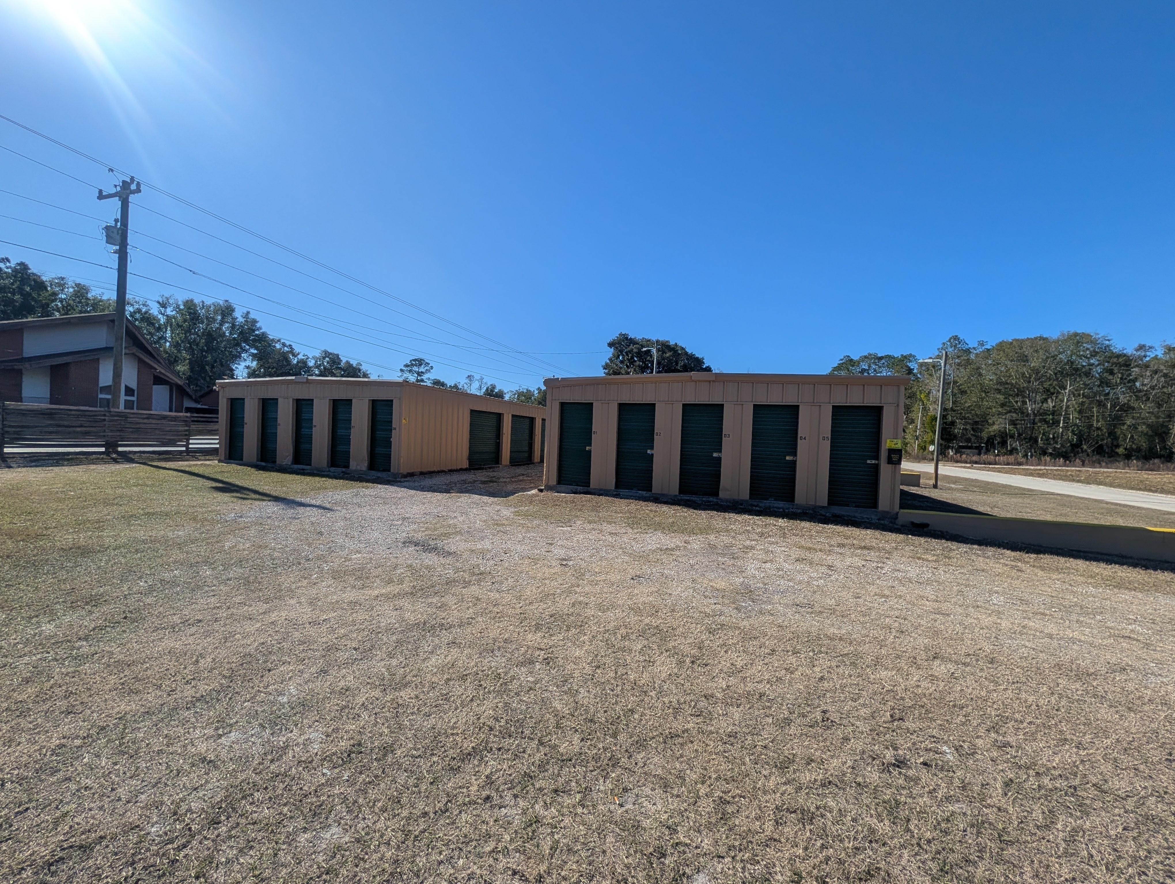 Live Oak South 2