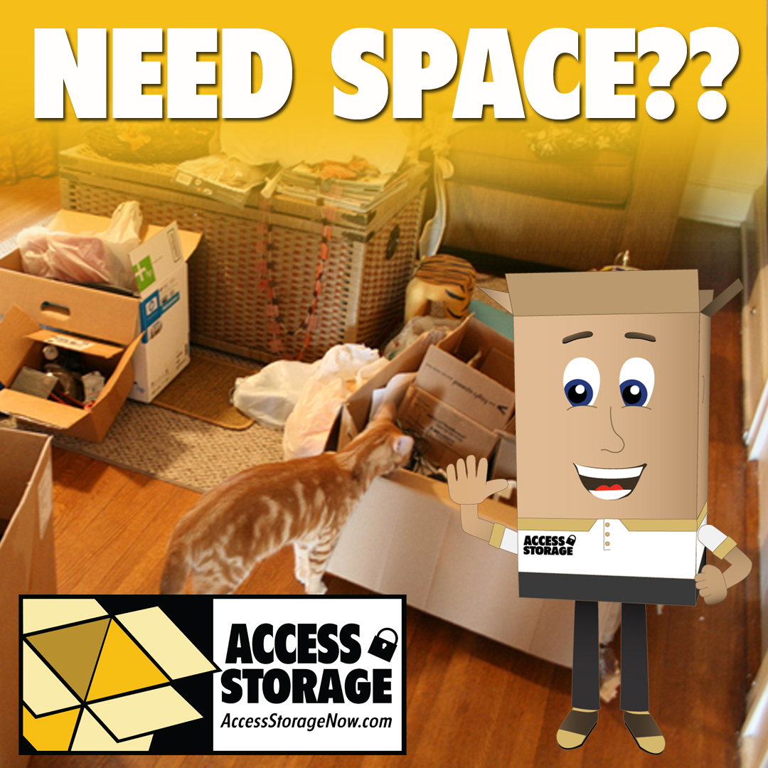 When using storage it's good to know how to package your valuable items. At Access Storage we also offer temp control units to secure your items. 