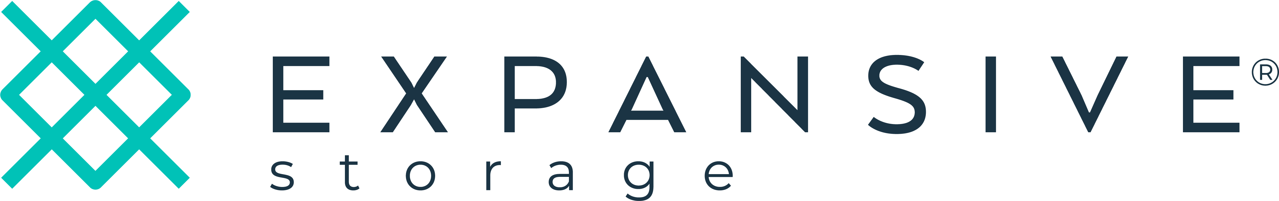 Expansive Storage logo