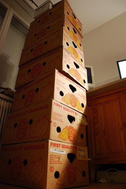 bananna-boxes bananna-boxes