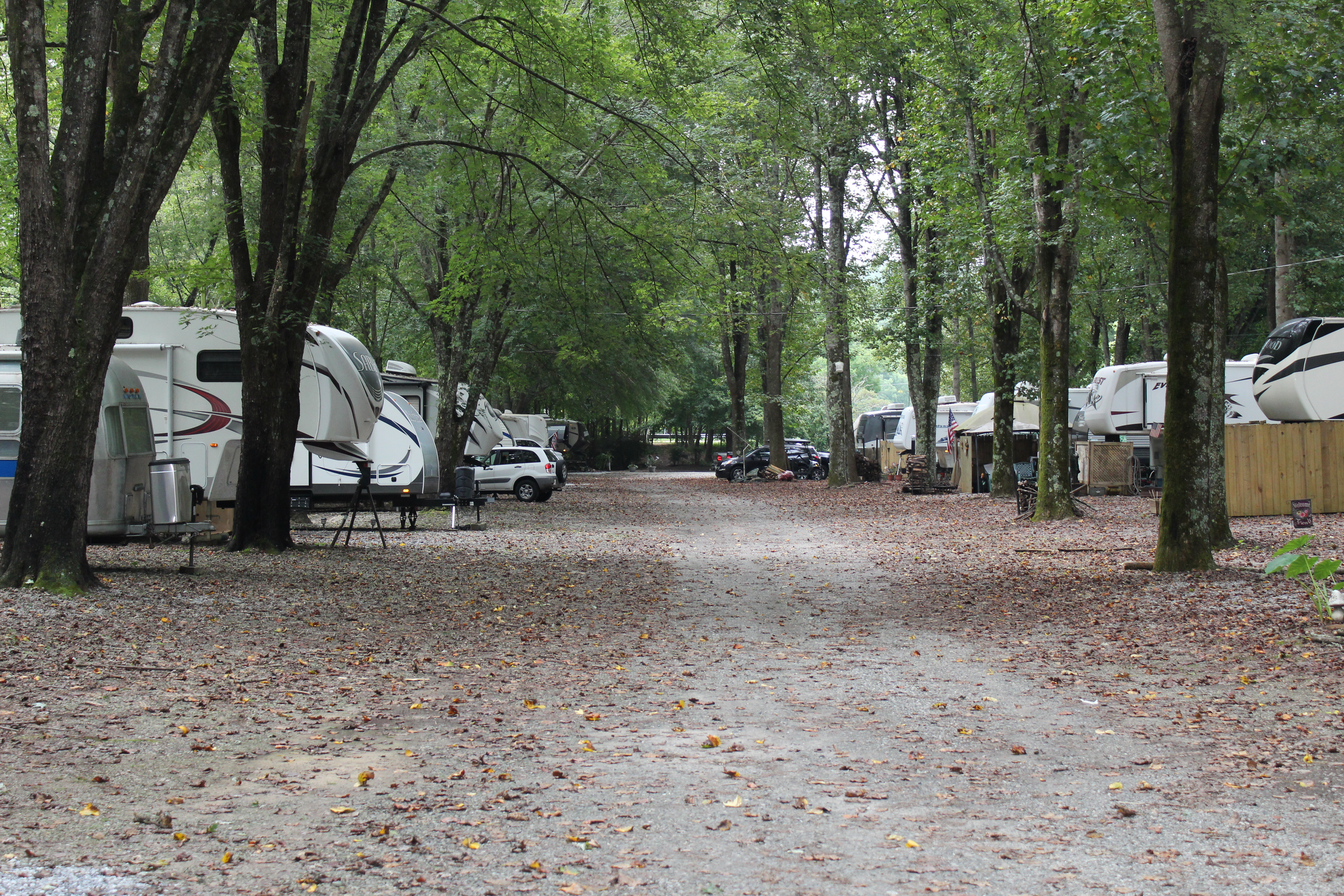 RV Storage, Onsite Manager, Campground - Trout Fishing in Cleveland, GA